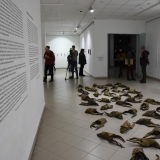 Gintaras Gailius. 66. 1992–2019 m. Ingridos Mockutės-Pocienės nuotr.