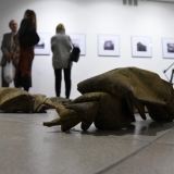 Gintaras Gailius. 66. 1992–2019 m. Ingridos Mockutės-Pocienės nuotr.