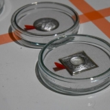 Beata Zdramytė. Oda. 2005 m. Ingridos Mockutės-Pocienės nuotr.