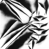 Salomėja Jastrumskytė. Euklidas XV. 2015 m., drobė, akrilas, anglis, lakas