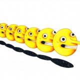 502c11850ccb63cc261c03817054c077