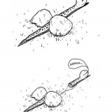 76ac98d64dc838748071d6c503dc924b