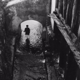 Adaukto Marcinkevičiaus nuotr.