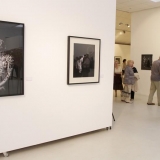 Algio Griškevičiaus \"Trys bandymai pagauti šviesą\"