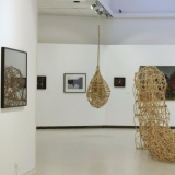 Algio Griškevičiaus \"Trys bandymai pagauti šviesą\"