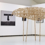 Algio Griškevičiaus \"Trys bandymai pagauti šviesą\"