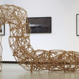 Algio Griškevičiaus \"Trys bandymai pagauti šviesą\"