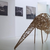 Algio Griškevičiaus \"Trys bandymai pagauti šviesą\"