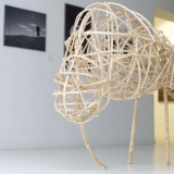 Algio Griškevičiaus \"Trys bandymai pagauti šviesą\"