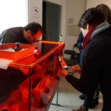 Daivos Gasiūnaitės-Šeštokienės nuotr.