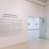 Arvydo Palevičiaus parodoje „Tarp fizikos ir metafizikos“. Domo Rimeikos nuotr.