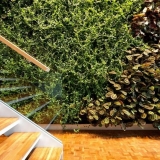 1-a3081_pixelmator_team_office_02