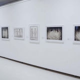 Violetos Bubelytės fotografijos. 2018 m. Nerijaus Jankausko nuotr.