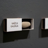 Ričardas Šileika. Mažosios galerijos. 2010–...  Nerijaus Jankausko nuotr.