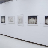 Violetos Bubelytės fotografijos. Nerijaus Jankausko nuotr.