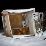 Eugenijus Barzdžius. Pelkių derlius