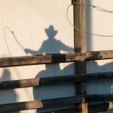 Edis Jurčys, iš ciklo „Rodeo“