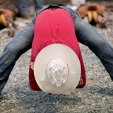 Edis Jurčys, iš ciklo „Rodeo“