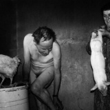 Rimaldas Vikšraitis, iš ciklo „Vienkiemių godos“