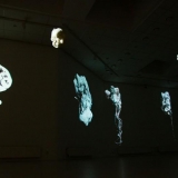 20160115-img_3955_maz