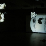 20160115-img_3961_maz