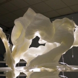 20160115-img_3985_maz