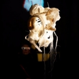 sta7509a_fotoansisstarks