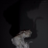 sta8301_fotoansisstarks