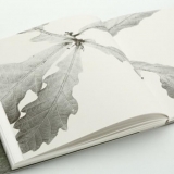 arturas-valiauga_ilgesio-zeme_kulturos-meniu-7