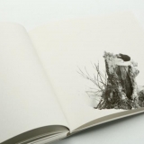 arturas-valiauga_ilgesio-zeme_kulturos-meniu-8