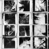 juodas-dangus_ahrenshoop_14