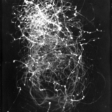 gytis-skudzinskas_retusas_i-2014