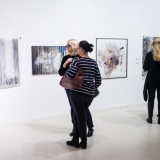 Ekspozicijos fragmentas. Nerijaus Jankausko nuotr.