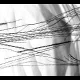 Kadras iš filmo „Dingę“