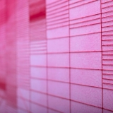 Inga Likšaitė. Iš ciklo „Namai“. Tomo Petreikio nuotr.