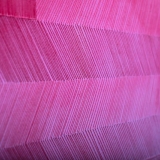 Inga Likšaitė. Iš ciklo „Namai“. Tomo Petreikio nuotr.