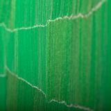 Inga Likšaitė. Iš ciklo „Namai“. Tomo Petreikio nuotr.