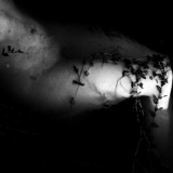 I. Mockutė-Pocienė. Iš ciklo „Susiliejimai“. 2015. Fotografija.