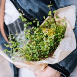 Instaliacijos „Sala“ pristatymas. Domo Rimeikos nuotr.