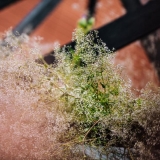 Instaliacijos „Sala“ pristatymas. Domo Rimeikos nuotr.