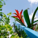 Instaliacijos „Sala“ pristatymas. Domo Rimeikos nuotr.