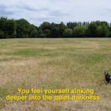 Islandų meno paroda „High & Low“. Organizatorių nuotr.