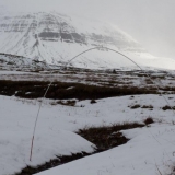 Irmos Leščinskaitės objektai ir peizažo linijos. KKKC meno rezidentų nuotr.