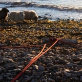 Irmos Leščinskaitės objektai ir peizažo linijos. KKKC meno rezidentų nuotr.