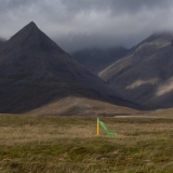 Irmos Leščinskaitės objektai ir peizažo linijos. KKKC meno rezidentų nuotr.