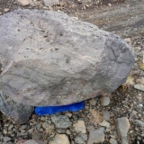 KKKC meno rezidentų nuotr.