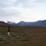 KKKC meno rezidentų nuotr.