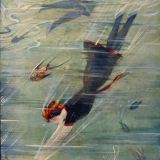 Life Magazine - Volume LVIII No 1502Deep Sea NumberA woman dives down to swim with the fish10 August 1911