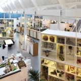 2-lego-designers_view-of-the-open-room