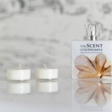 10-443602_687345547968647_1313787731189439217_n